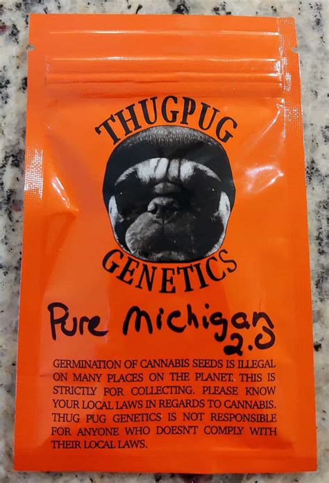 We encourage our customers to check the legislation prior to purchasing items from this store. . Pure michigan thug pug